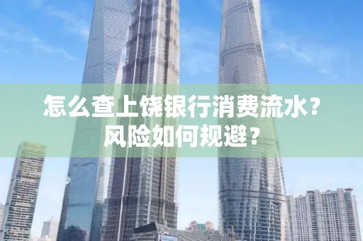 怎么查上饶银行消费流水?风险如何规避?