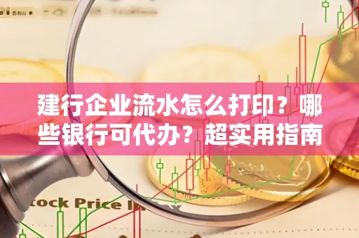 建行企业流水怎么打印?哪些银行可代办?超实用指南来了!