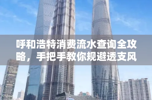 呼和浩特消费流水查询全攻略,手把手教你规避透支风险