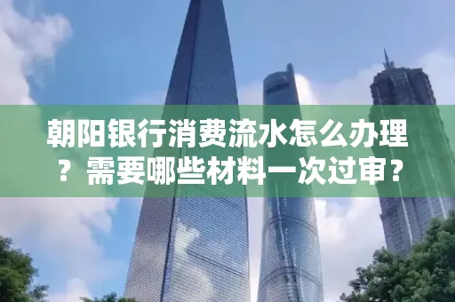 朝阳银行消费流水怎么办理?需要哪些材料一次过审?