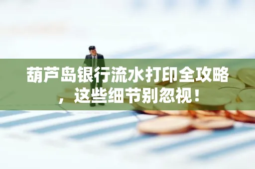 葫芦岛银行流水打印全攻略,这些细节别忽视!
