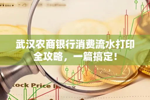 武汉农商银行消费流水打印全攻略,一篇搞定!