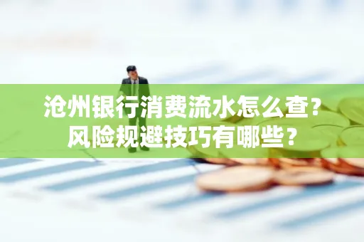 沧州银行消费流水怎么查?风险规避技巧有哪些?