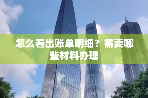怎么看出账单明细？需要哪些材料办理