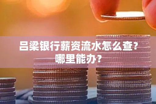 吕梁银行薪资流水怎么查?哪里能办?