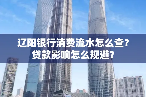 辽阳银行消费流水怎么查?贷款影响怎么规避?