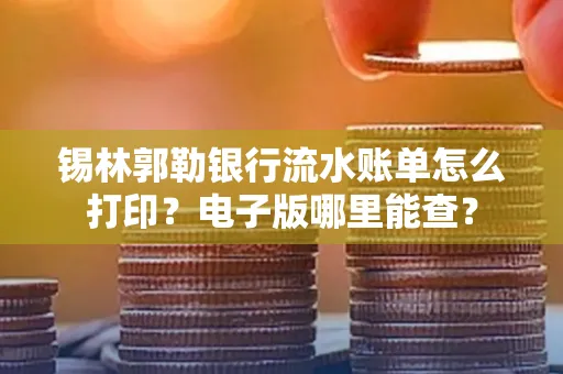 锡林郭勒银行流水账单怎么打印?电子版哪里能查?