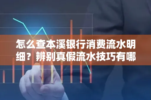 怎么查本溪银行消费流水明细?辨别真假流水技巧有哪些?