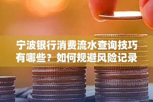 宁波银行消费流水查询技巧有哪些?如何规避风险记录?