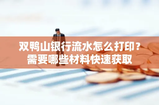 双鸭山银行流水怎么打印?需要哪些材料快速获取
