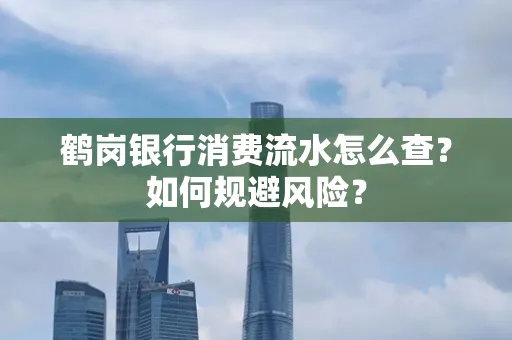 鹤岗银行消费流水怎么查?如何规避风险?