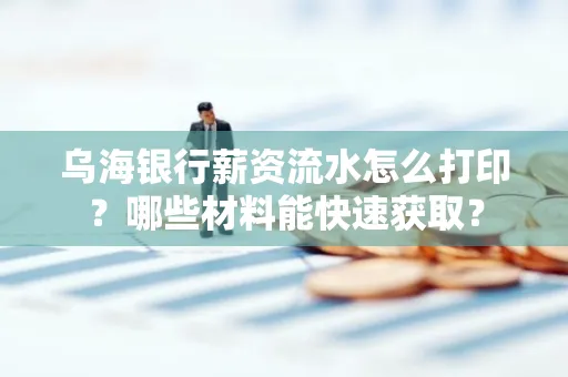 乌海银行薪资流水怎么打印?哪些材料能快速获取?