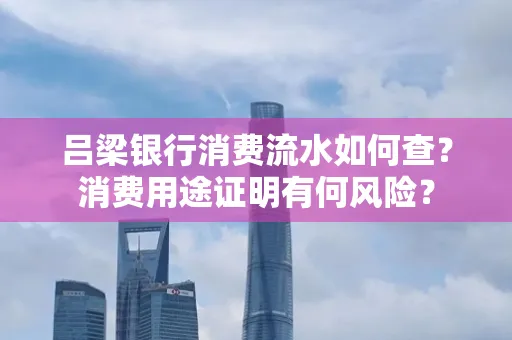 吕梁银行消费流水如何查?消费用途证明有何风险?