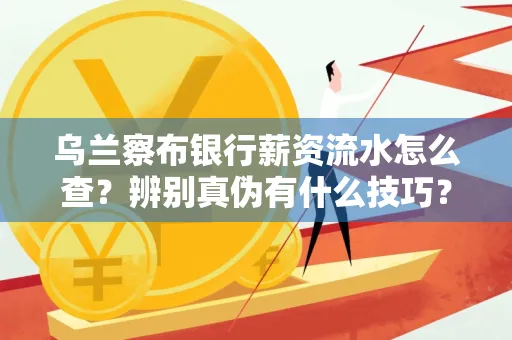 乌兰察布银行薪资流水怎么查?辨别真伪有什么技巧?