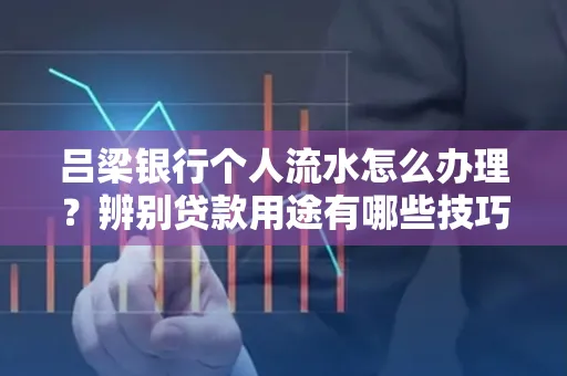吕梁银行个人流水怎么办理?辨别贷款用途有哪些技巧?