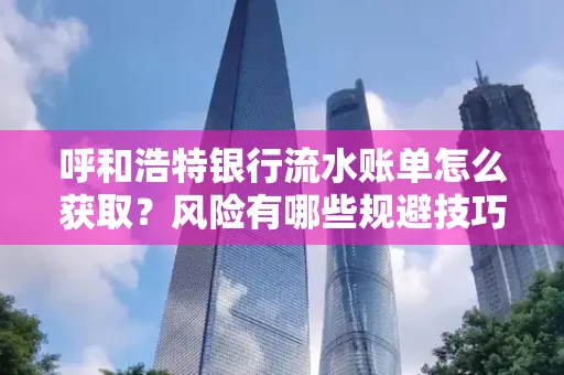 呼和浩特银行流水账单怎么获取?风险有哪些规避技巧!