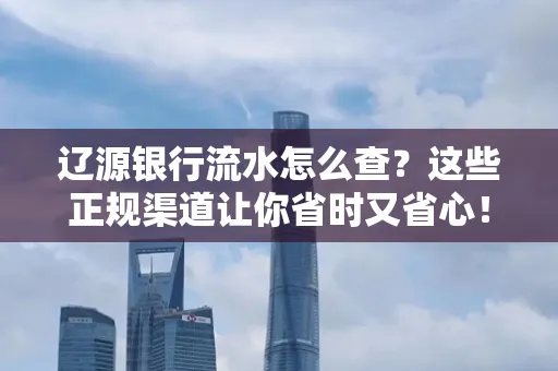 辽源银行流水怎么查?这些正规渠道让你省时又省心!
