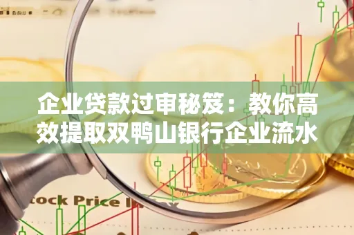 企业贷款过审秘笈:教你高效提取双鸭山银行企业流水