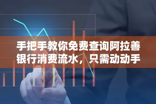 手把手教你免费查询阿拉善银行消费流水,只需动动手指就能完成