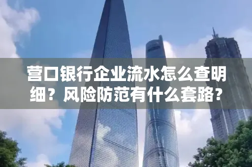 营口银行企业流水怎么查明细?风险防范有什么套路?