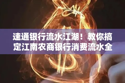 速通银行流水江湖!教你搞定江南农商银行消费流水全攻略+防坑指南