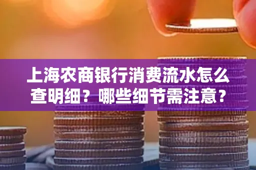 上海农商银行消费流水怎么查明细?哪些细节需注意?