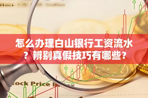 怎么办理白山银行工资流水?辨别真假技巧有哪些?