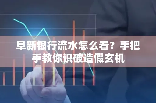 阜新银行流水怎么看?手把手教你识破造假玄机