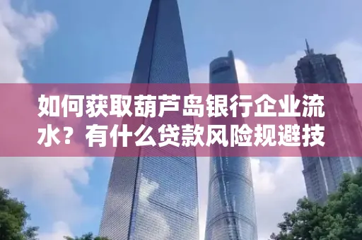 如何获取葫芦岛银行企业流水?有什么贷款风险规避技巧?