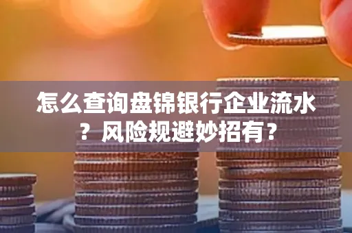 怎么查询盘锦银行企业流水?风险规避妙招有?