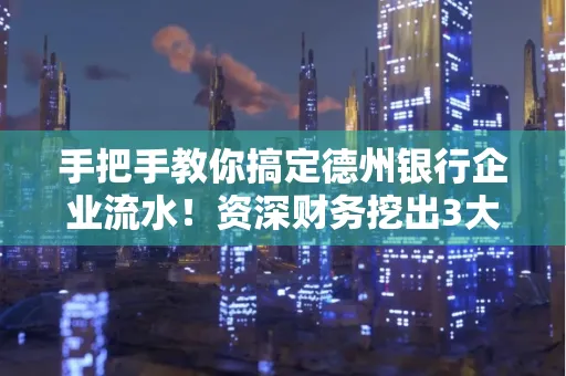 手把手教你搞定德州银行企业流水!资深财务挖出3大隐藏风险点