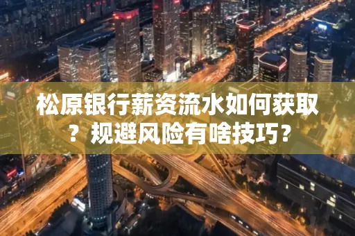 松原银行薪资流水如何获取?规避风险有啥技巧?