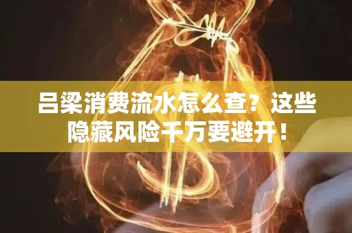吕梁消费流水怎么查?这些隐藏风险千万要避开!