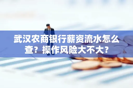 武汉农商银行薪资流水怎么查?操作风险大不大?