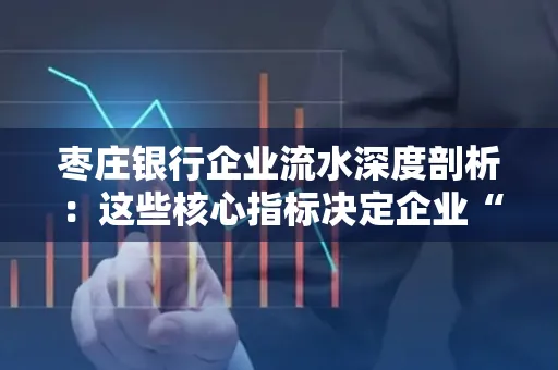 枣庄银行企业流水深度剖析:这些核心指标决定企业“钱袋子”健康度