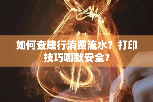 如何查建行消费流水?打印技巧哪款安全?